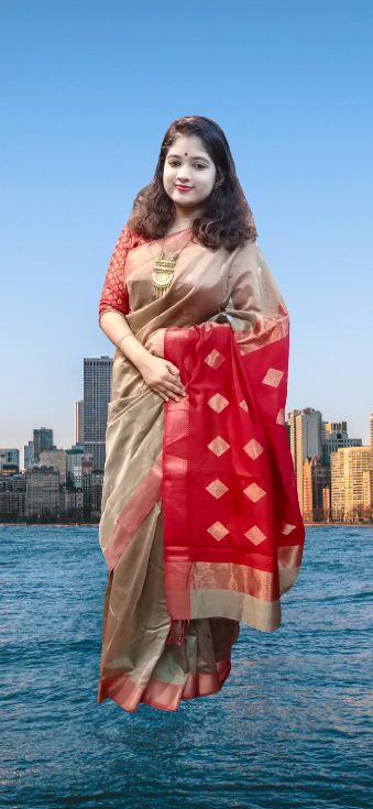 Maheswari Silk